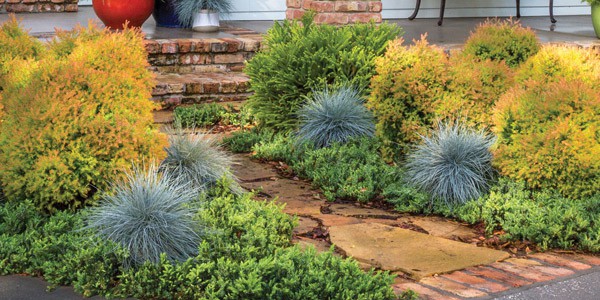 Five Uses for Fire Chief 1