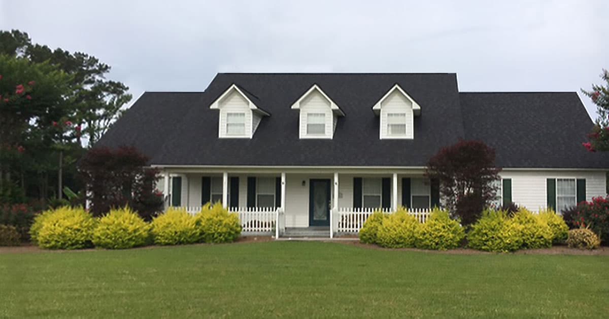 Five Uses for Sunshine Ligustrum 1200x6306