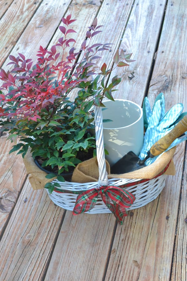 For the Gardener 600x900px