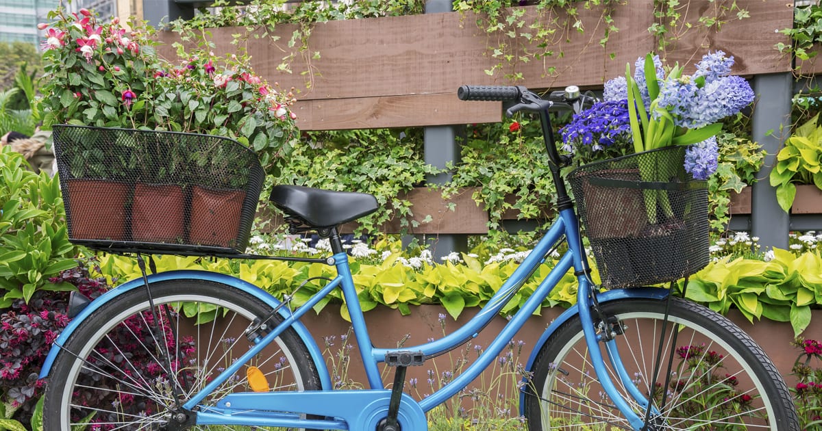 Blue bike in front of outdoor wall landscape