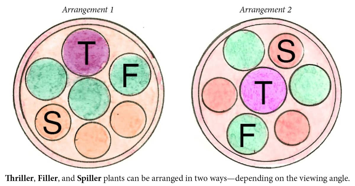 Garden Plan Loropetalum Purple Daydream Plant A Warm Welcome 1200x6302