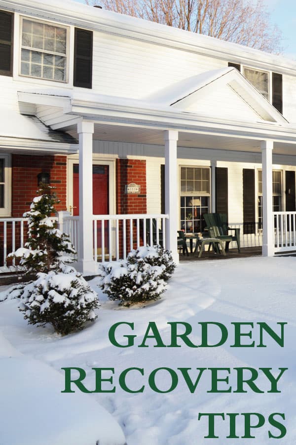 Garden Recovery 600x9002