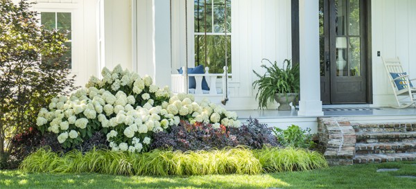 Garden Romance 1
