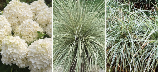 Garden Romance 3