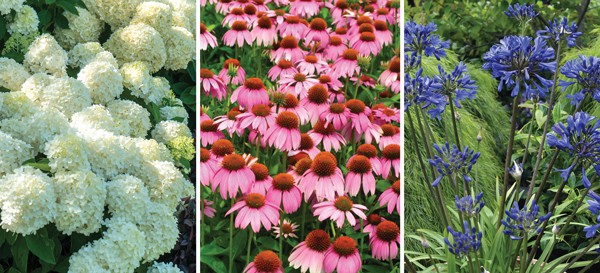 Garden Romance 4