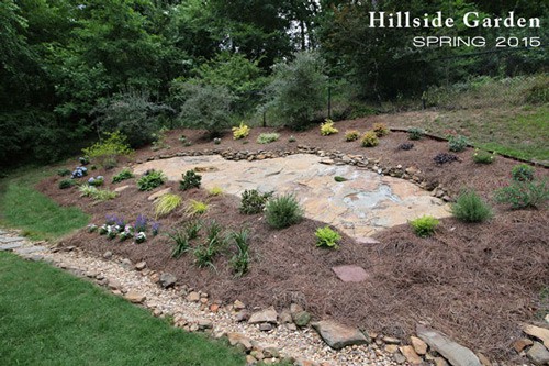 Hillside Garden