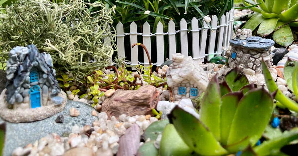 Magical fairy garden