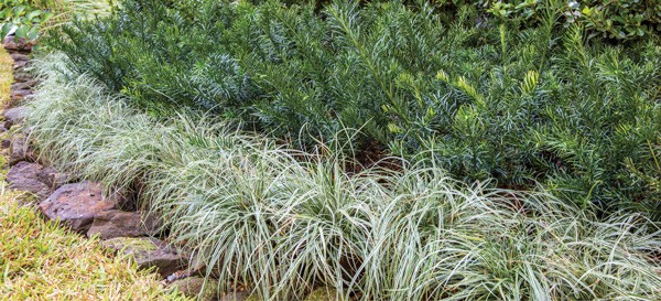 Kim Maintaining an Edge Article Image 5