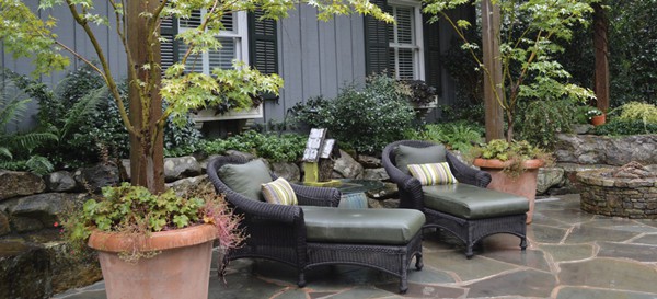 Dark gray recliners on stone patio amongst ivy growing around trees in containers
