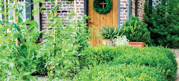 Front door surrounded by shrubs, herbs and edibles