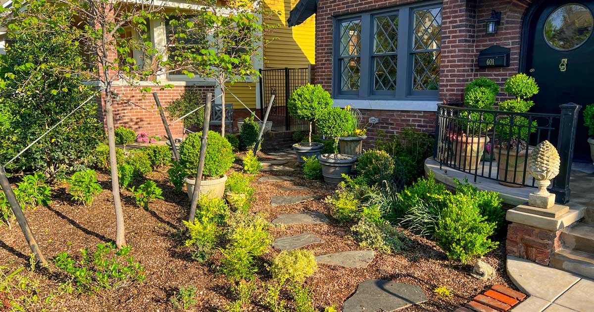 Linda Vater's new lemon lane garden