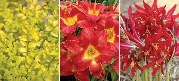 Let the Sunshine In combo 1