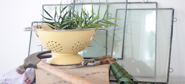 Mahonia Glass Garden