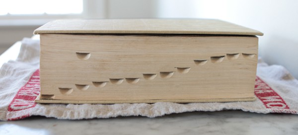 Mahonia Glass Garden 5