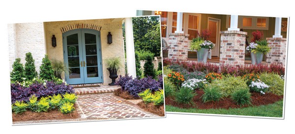 Monochromatic Color2