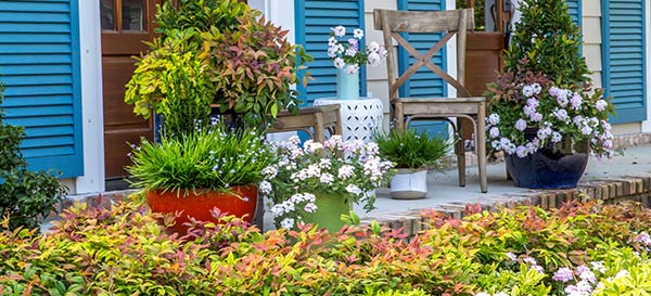 A Southern home facade features extra tall windows & bright blue shutters facing a patio garden full of Southern Living plants