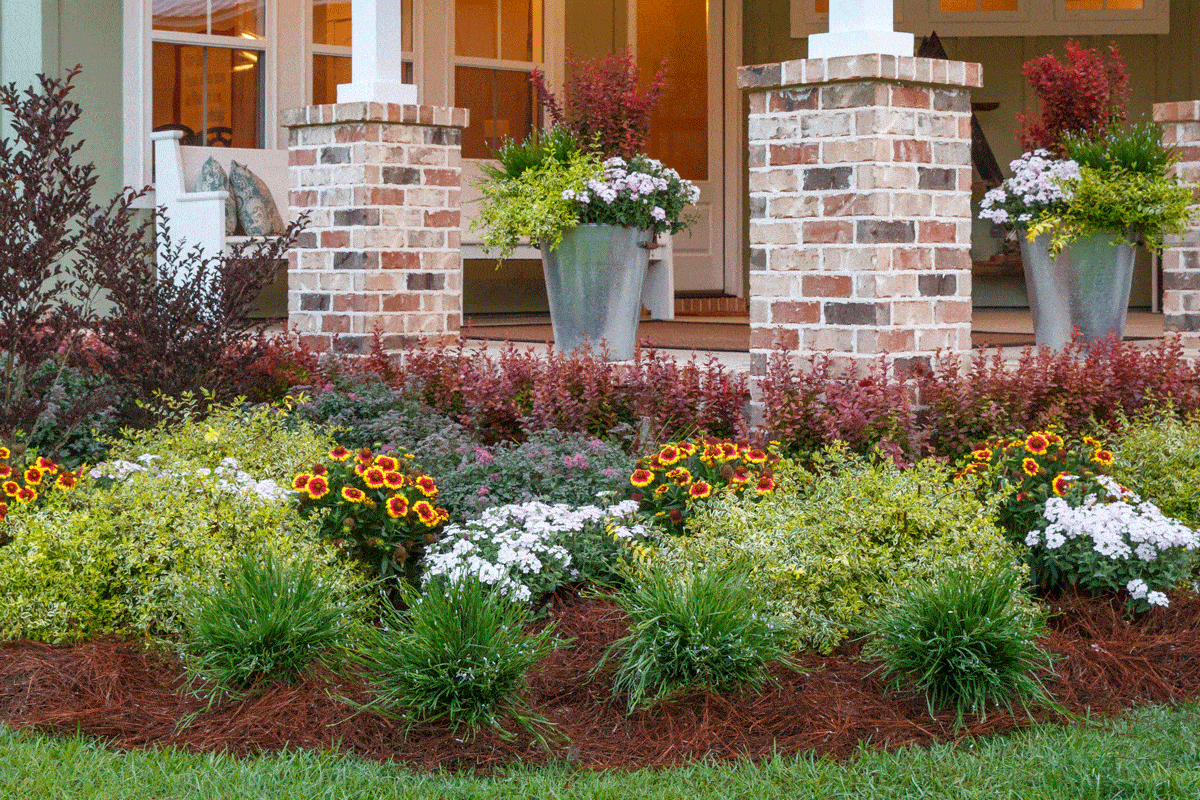 Natural Attraction banner