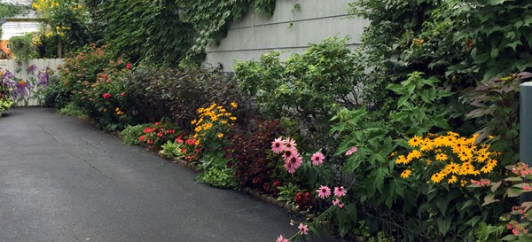 Driveway lined with many different colorful plants.