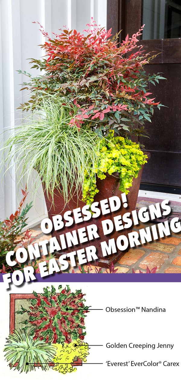 Plant Combinations Obsession Nandina Containers for Easter Morning 600x1260