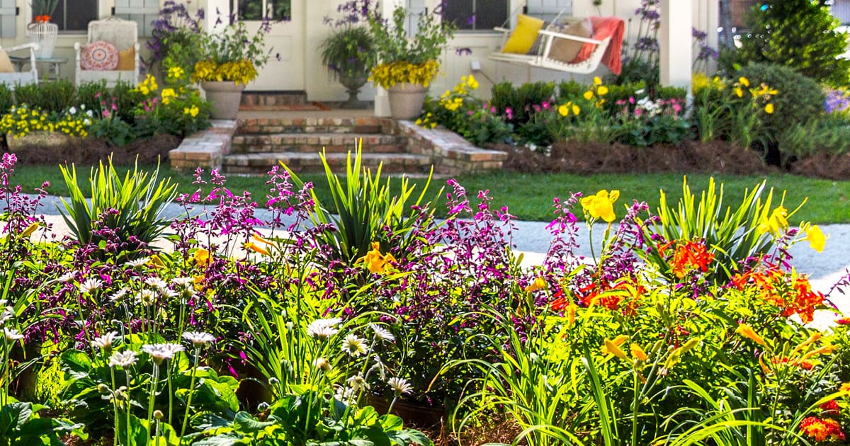 Plant Combinations Plant A Hummingbird Haven 1200x6303