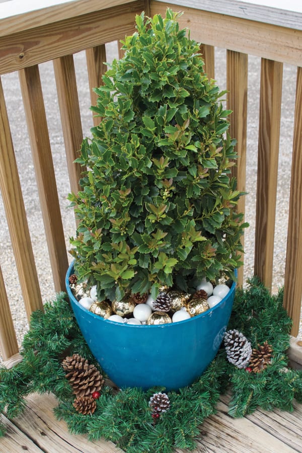 Plant Made Presents Article Image 2