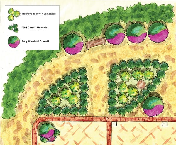 Landscape architect pencil drawing of landscape to be planted with Southern Living plants