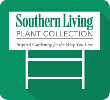 Point of Purchase Materials