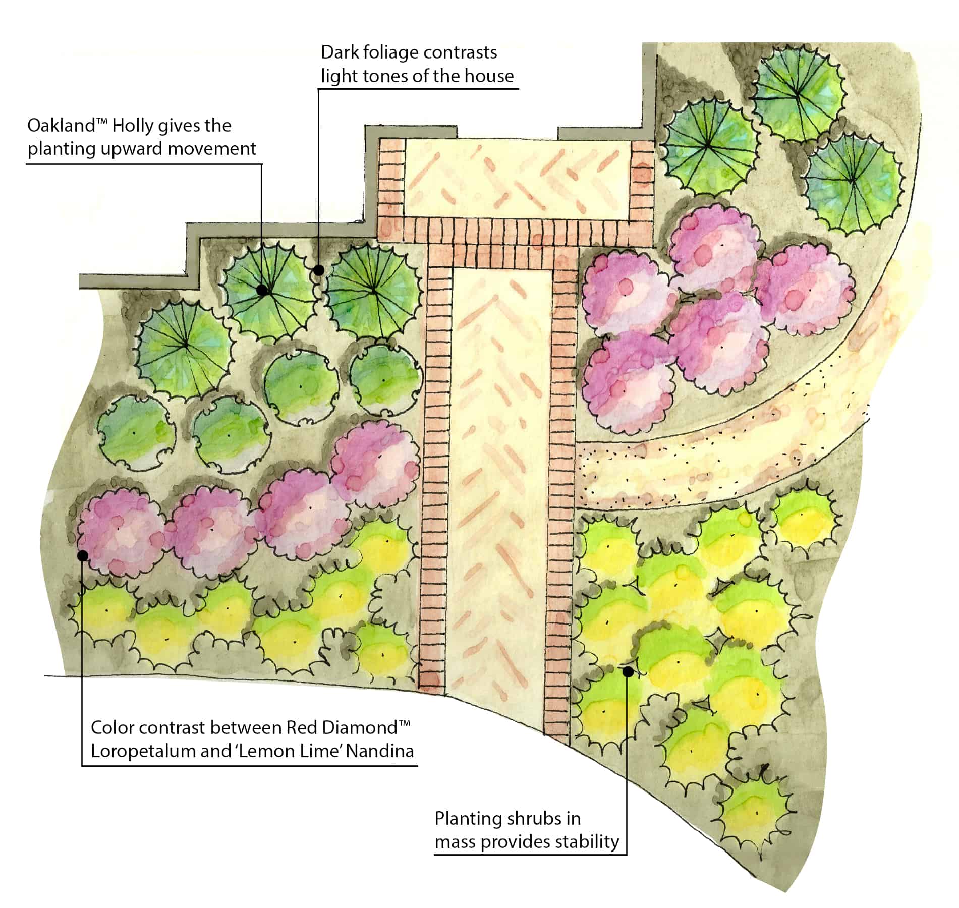 Red Diamond Drawing with Design Notes
