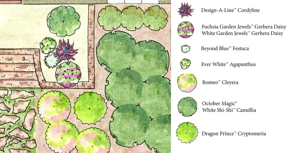 Southern Living Landscape Plan with Foundation Plants Like Cleyera and Containers