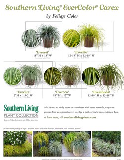 Legend handout carex flow chart