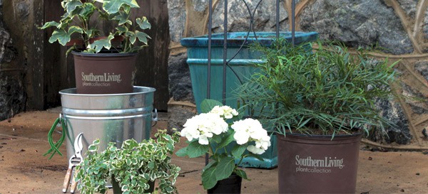 SLPC Easter Container Garden