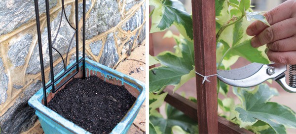 SLPC Easter Container Garden 3