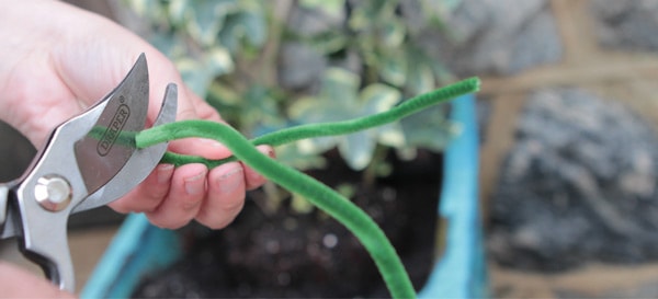 SLPC Easter Container Garden 5