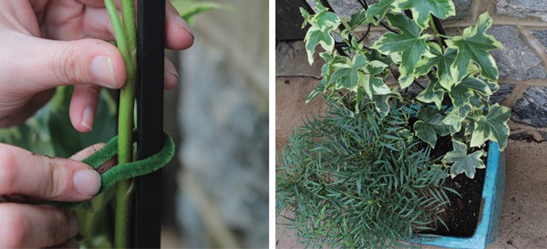 SLPC Easter Container Garden 6