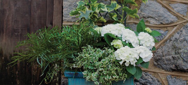 SLPC Easter Container Garden 7