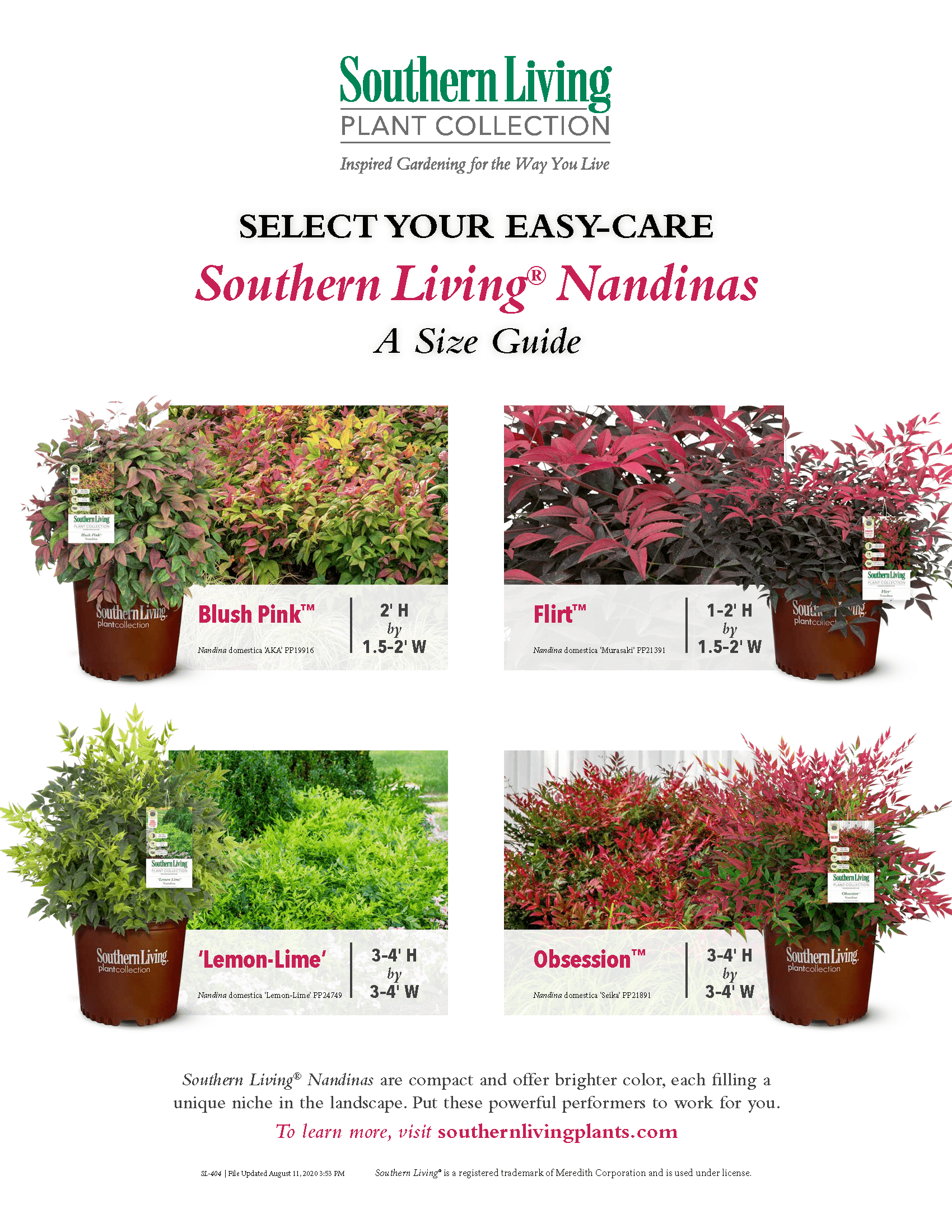 chart of Southern Living nandina varieties