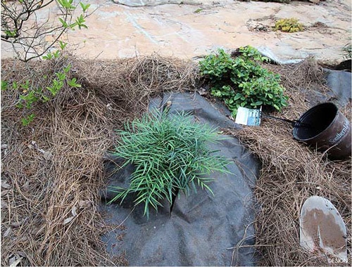 Screen Shot 2015 06 10 at 2.25.32 PM