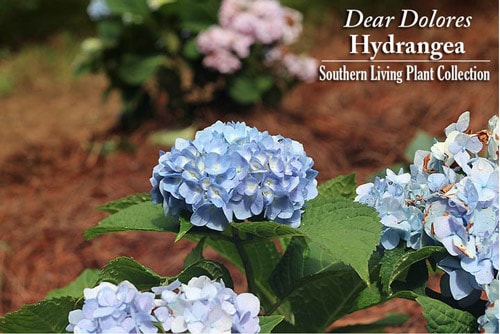 Screen Shot 2015 06 10 at 2.26.05 PM