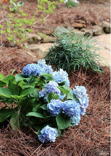 Screen Shot 2015 06 10 at 2.26.15 PM