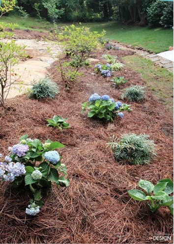 Screen Shot 2015 06 10 at 2.26.37 PM