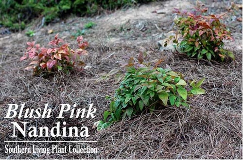 Screen Shot 2015 06 10 at 2.27.08 PM