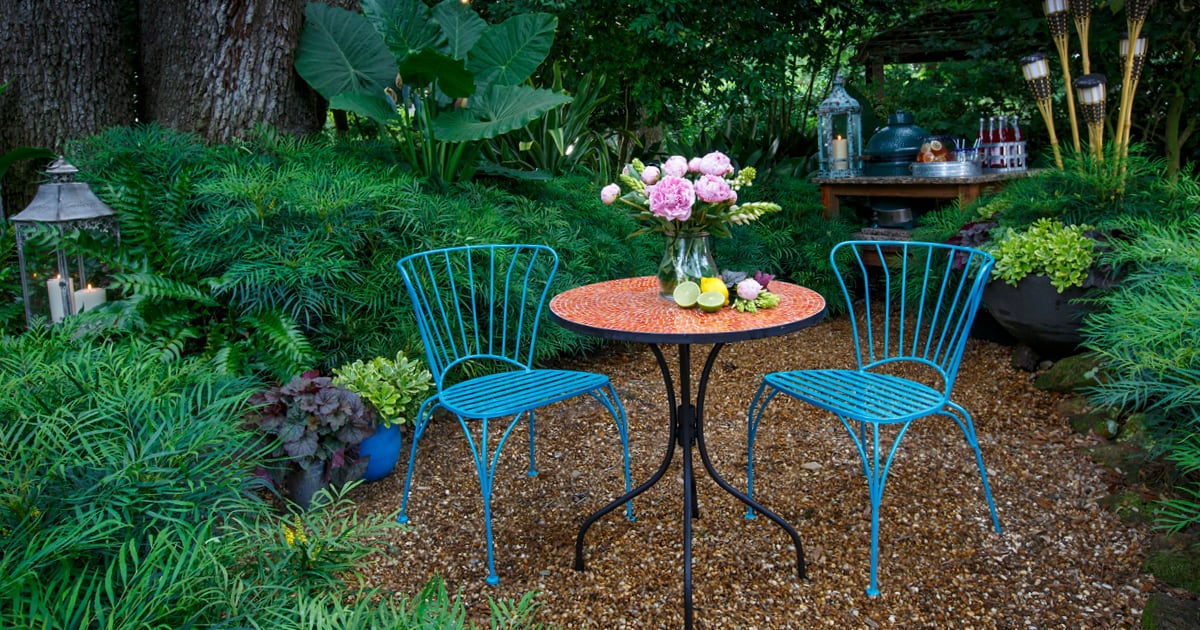 2 blue metal scroll chairs with matching table in a garden of Soft Caress Mahonia
