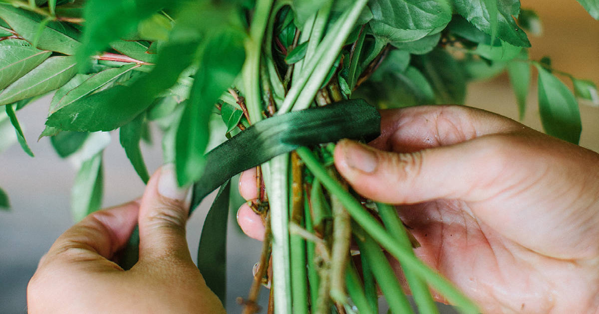 hands with white zip tie holding flowers together covering the zip tie with a leaf