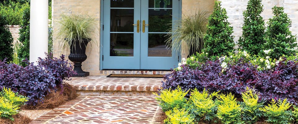 Symmetrical entryway garden beds made up of Oakland Holly in the back, Jubilation Gardenia in the middle and Red Diamond Loropetalum in the front