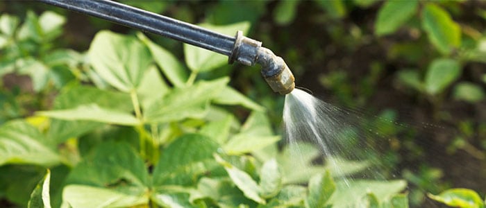 Spring Clean Checklist 4