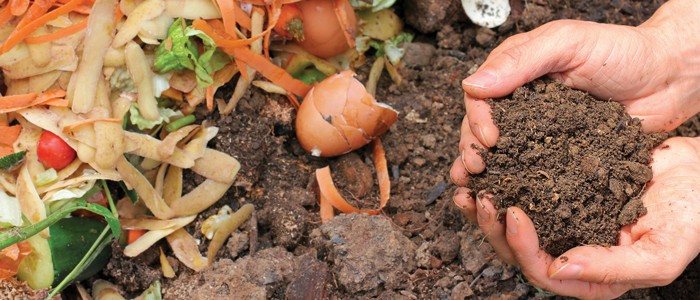 Spring Gardening Checklist 5