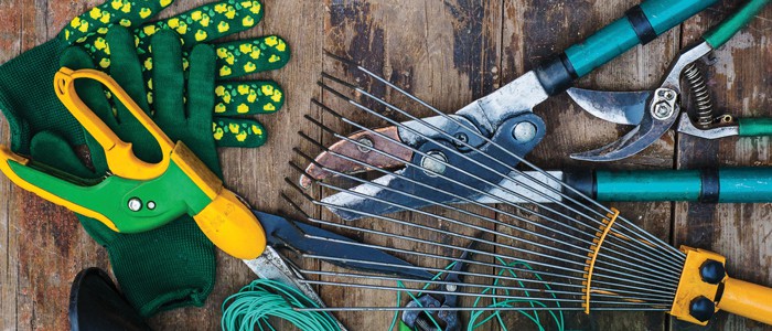 Spring Gardening Checklist 7