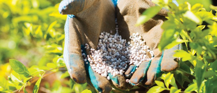 Spring Gardening Checklist 8