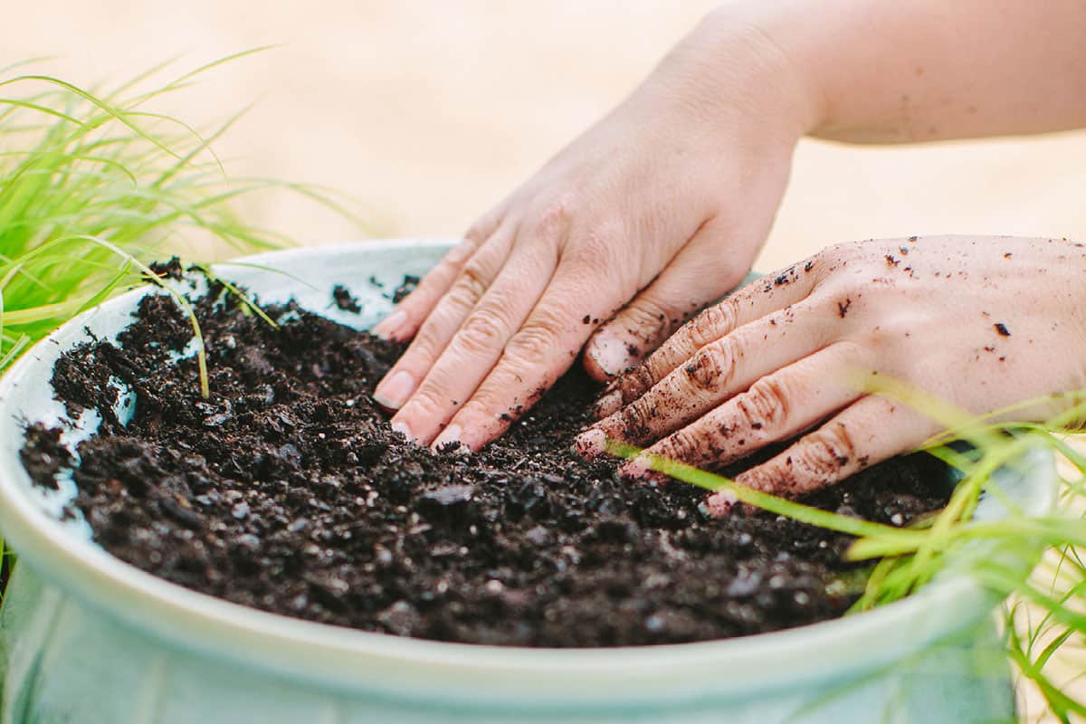 Stack It Up How to Create Easy Vertical Container Garden 1200x800