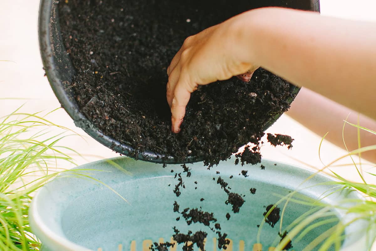 Stack It Up How to Create Easy Vertical Container Garden 1200x8003